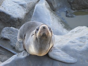 this one was interested in us