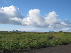 views from out the road