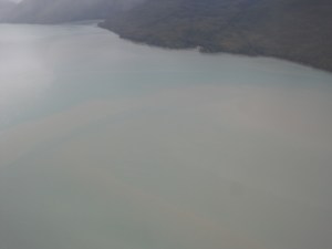 on our flight you could see the water break, this is where the river water (silty from the glacier) and the ocean water, bluer and clear, meet!