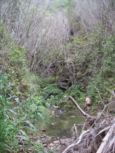 hiking through the jungle