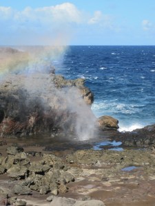 blow hole