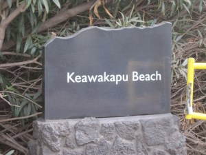 our new favorite beach; lots of turtles