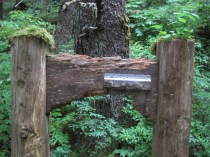 IMG_10055sign trailhead