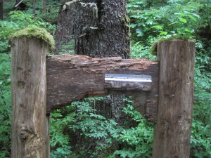 IMG_10055sign trailhead
