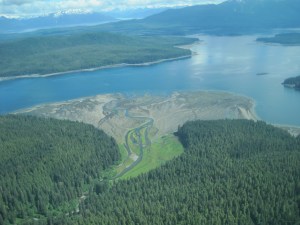 IMG_10208fly packcreek