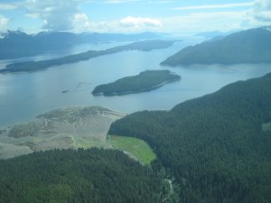 IMG_10210fly pC:windfall