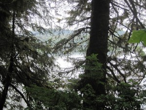 IMG_15camp outhouse view