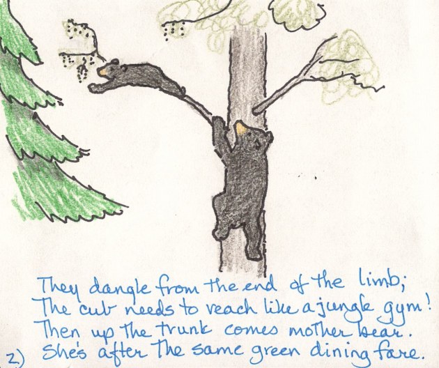 cartoon 2 bears dangle 1june2014