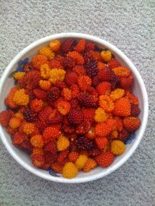 berries