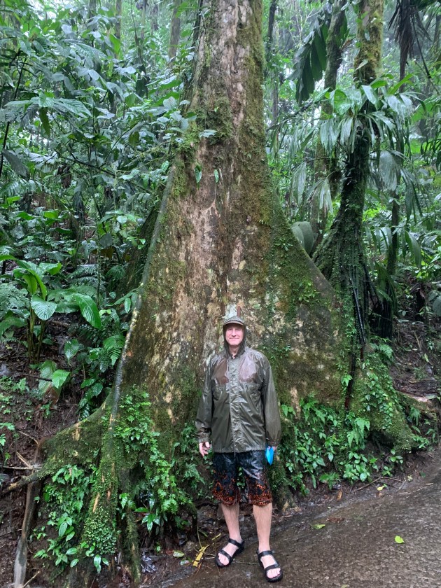 it was rainy for sure. Harry by one of the big trees 